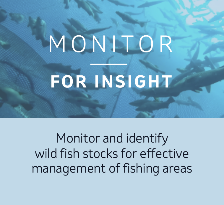 monitor for insight